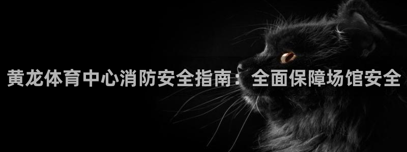 必一体育全站在线登录