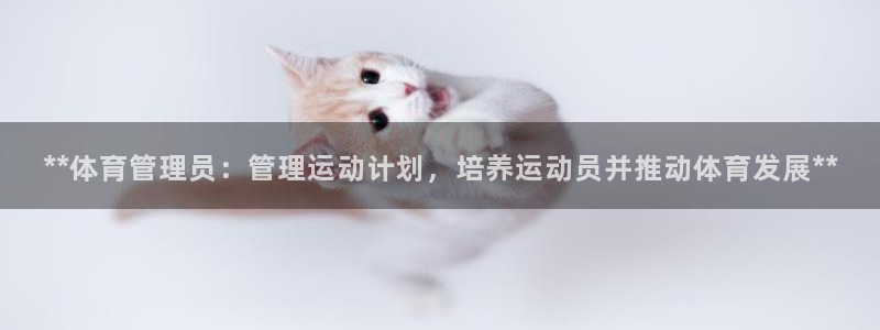 b体育必一运动网页版