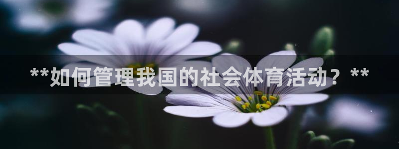 必一体育官网app：