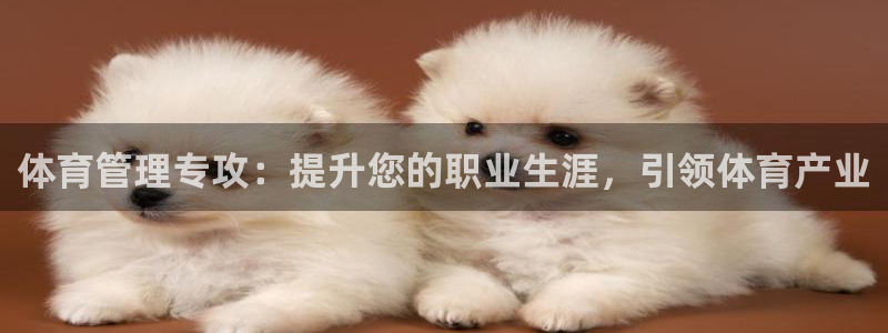 必一运动：体育管理专