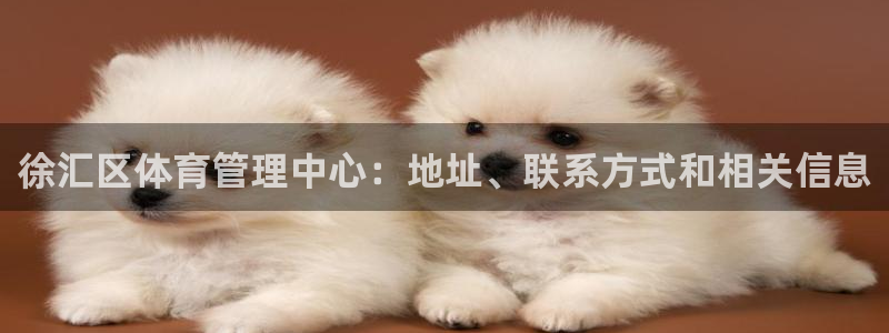 必一运动sport网