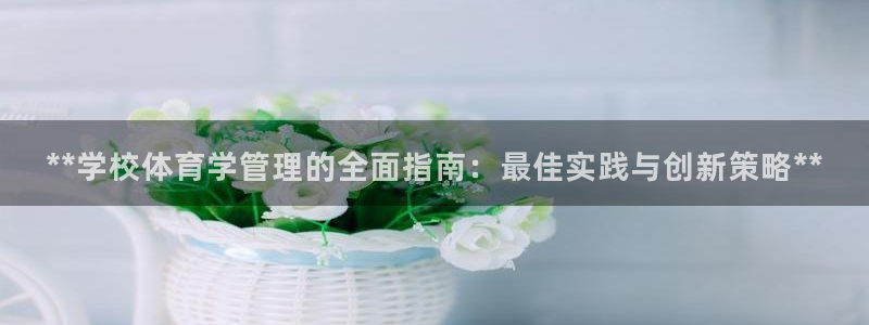 b体育必一运动网页版