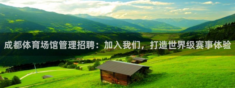 必一体育登陆：成都体