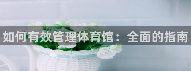 必一运动体育app：