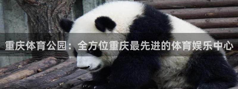 必一体育官方app下