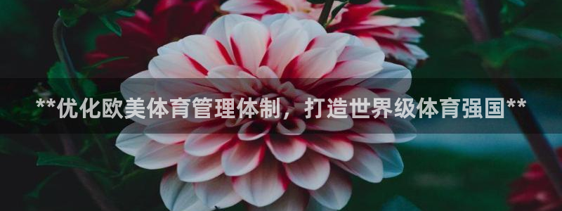 必一体育官方下载入口