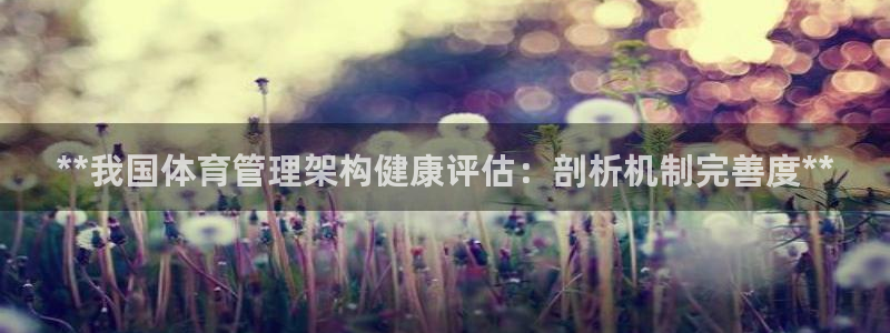 必一运动 b 体育素