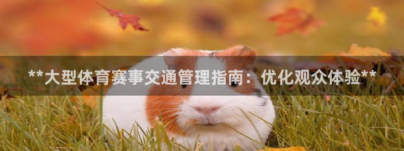 必一运动sport爱