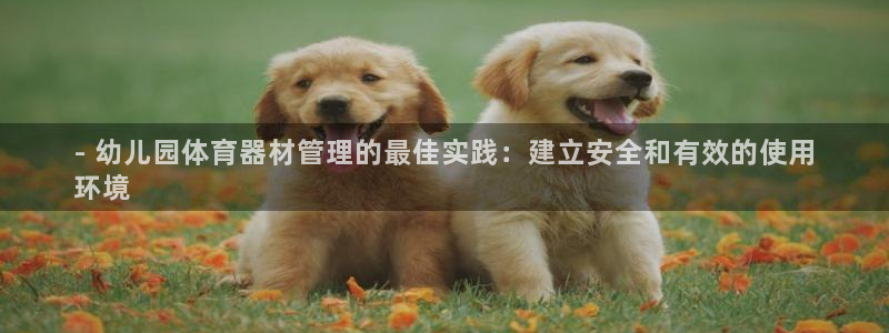 必一体育app官方下载入口：- 幼儿园体育器材管理的最佳实践