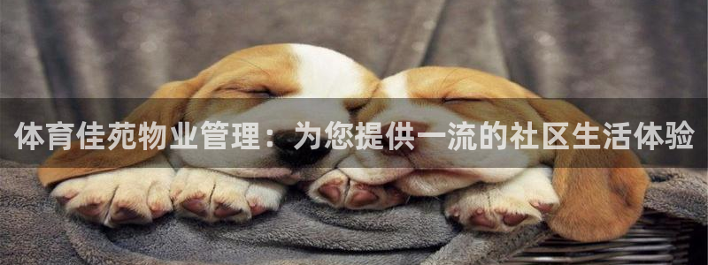 必一体育官网网站：体育佳苑物业管理：为您提供一流的社区生活体