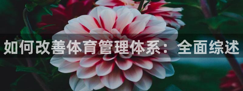 必一运动tieba.baidu.com：如何改善体育管理体系