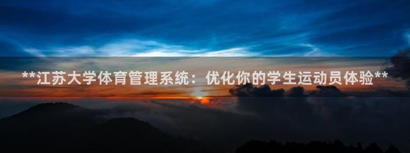 必一体育bsport