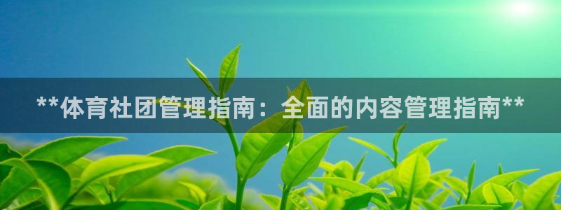 必一体育游戏特色：**体育社团管理指南：全面的内容管理指南*