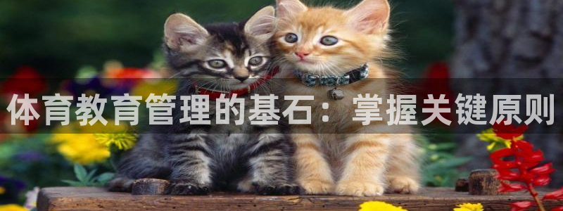 必一体育怎么下载：体