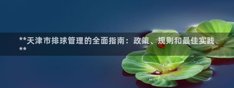 必一体育bsport