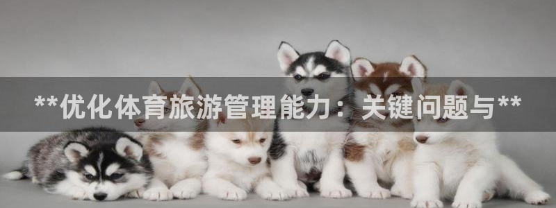 b体育必一运动网页版