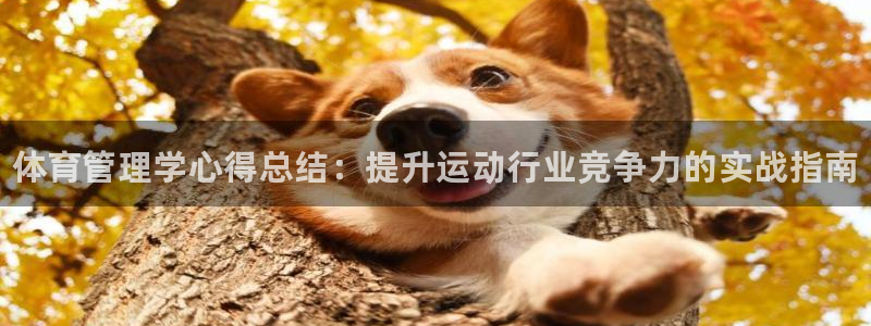 必一体育sport网