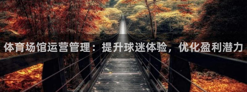 必一体育官网app：