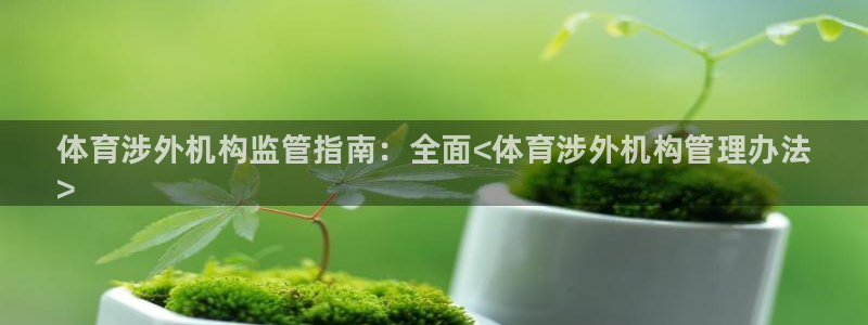 必一体育秀给网：体育