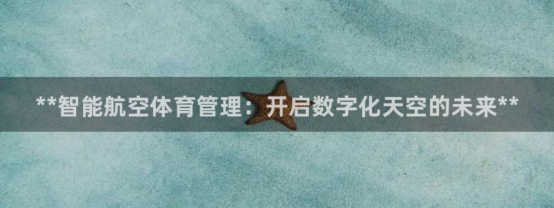 必一运动体育：**智能航空体育管理：开启数字化天空的未来**