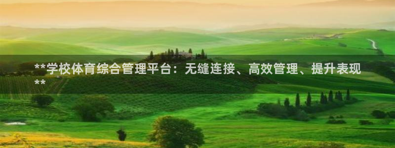 必一体育app官方下