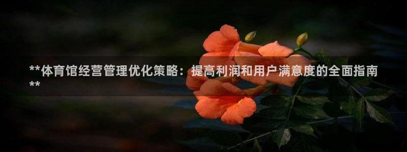 必一体育运动官网：*