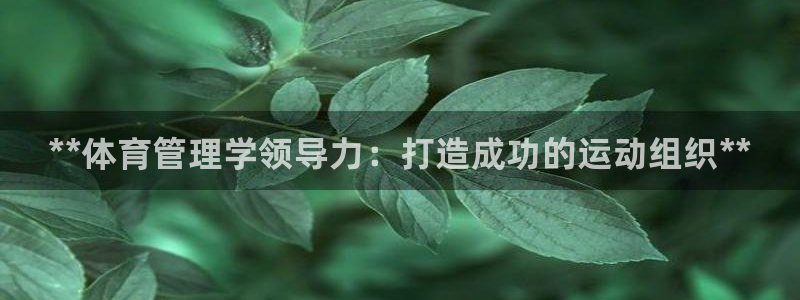必一体育sport官网：**体育管理学领导力：打造成功的运动