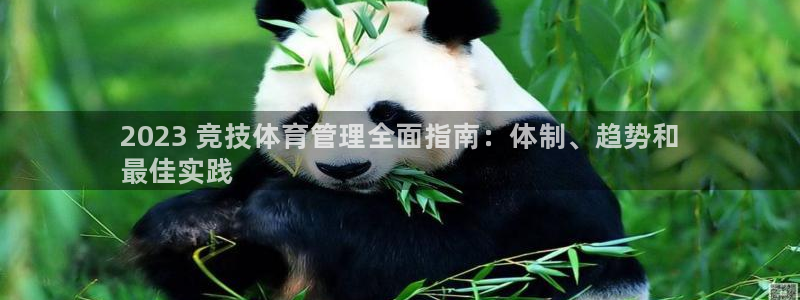 必一体育网页：202