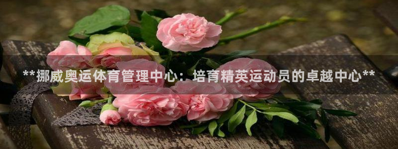 必一体育sport官