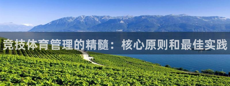 必一体育网页：竞技体