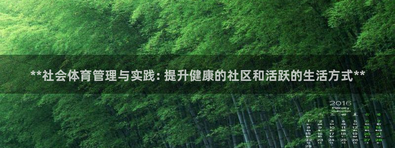 b体育官网下载入口a