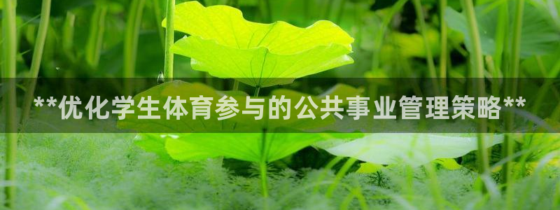 必一体育登录入口AP