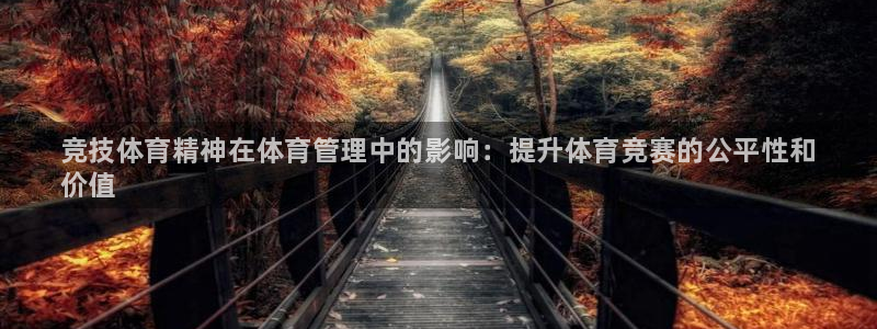 必一体育官网app：