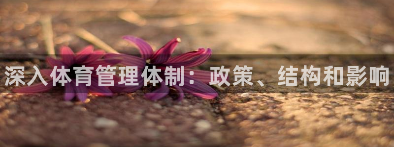 必一体育手机下载：深