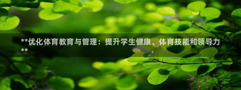 必一体育官方网站入口