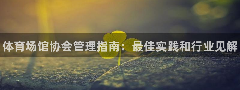 必一运动 b 体育素