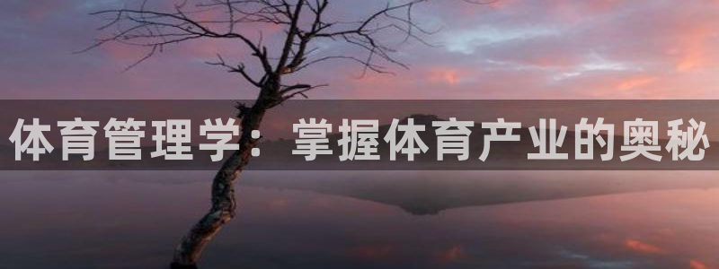 b体育必一运动网页版