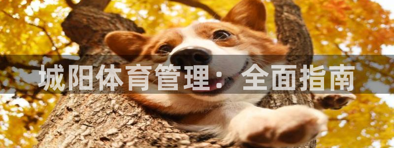 必一体育sport装