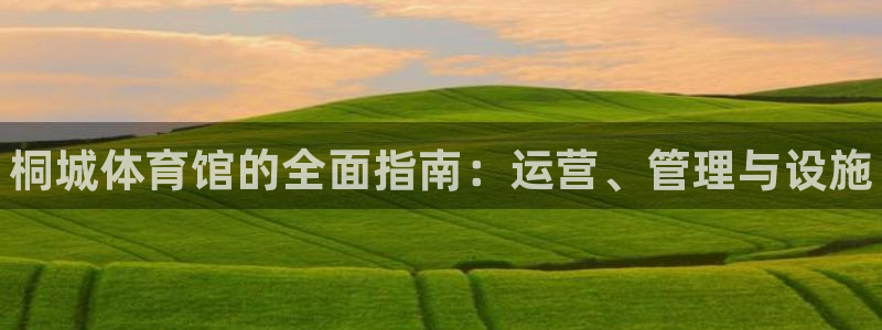 必一体育黑钱：桐城体